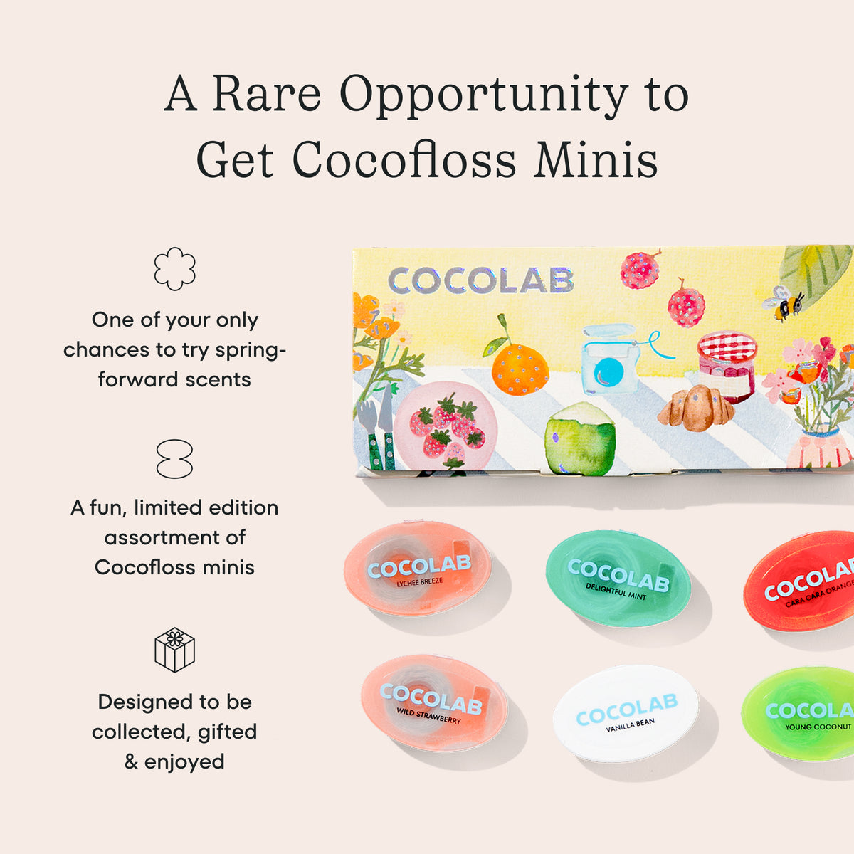 Spring Mini Collection - Cat's Sunday Brunch