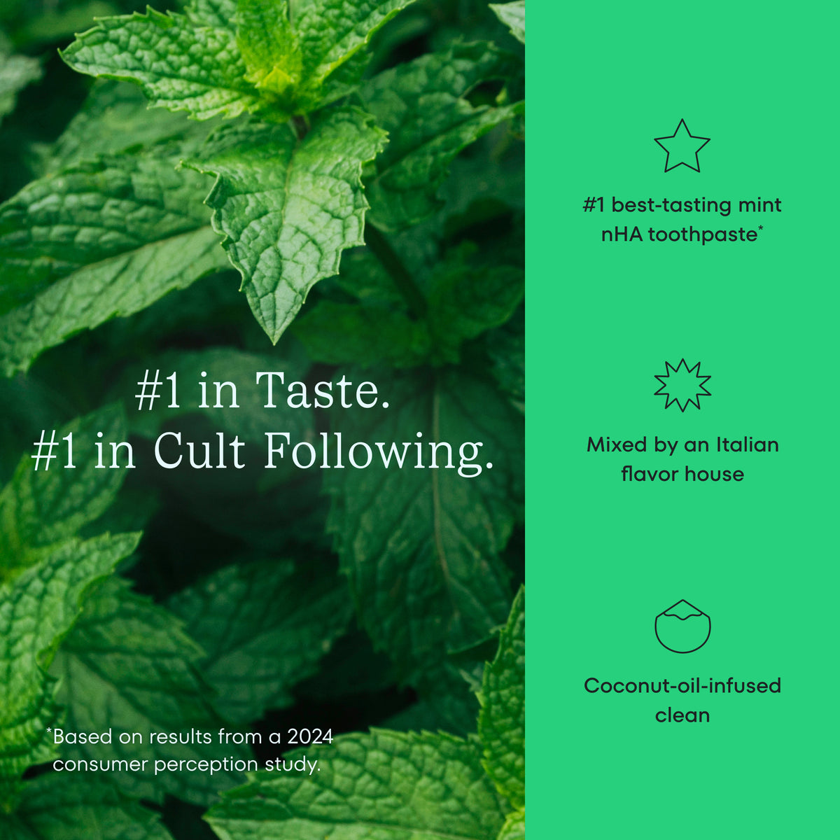 Mint leaves with promotional text on a green background