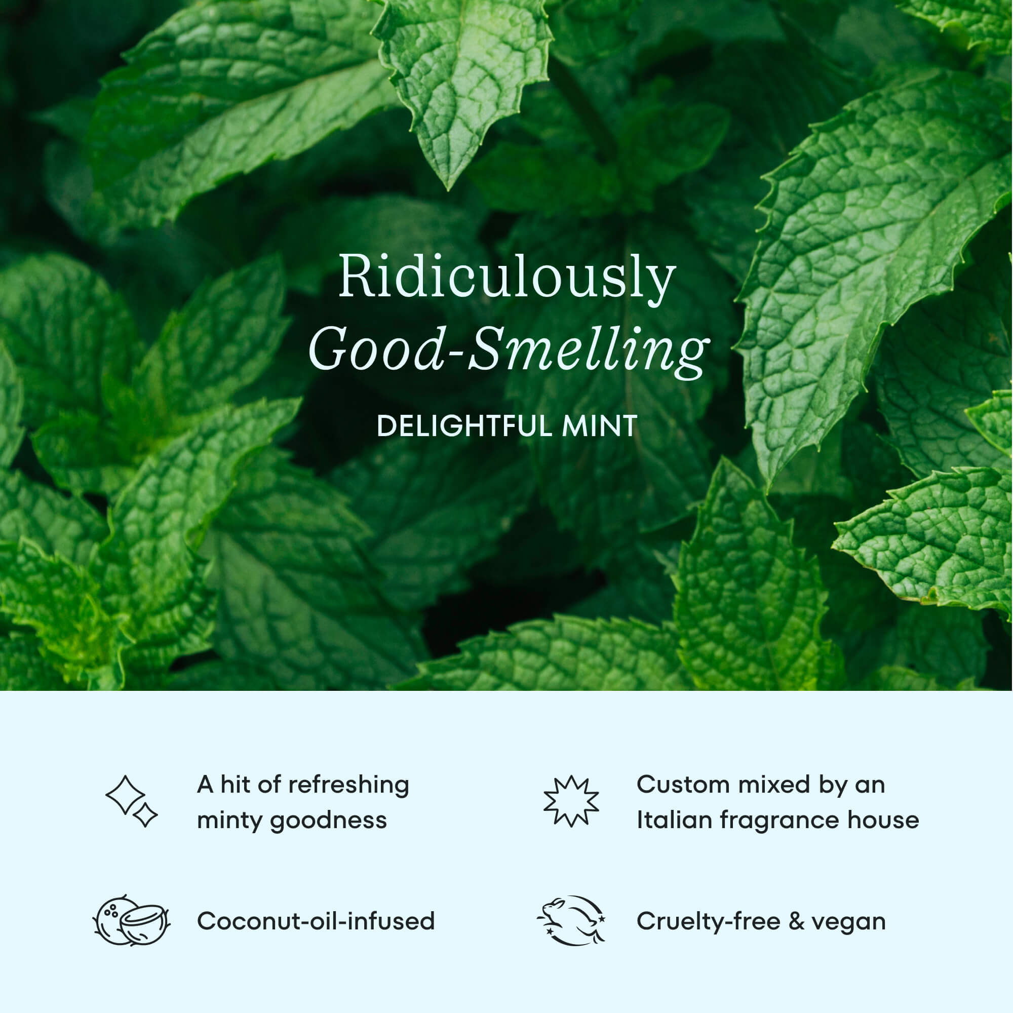 Delicious Mint