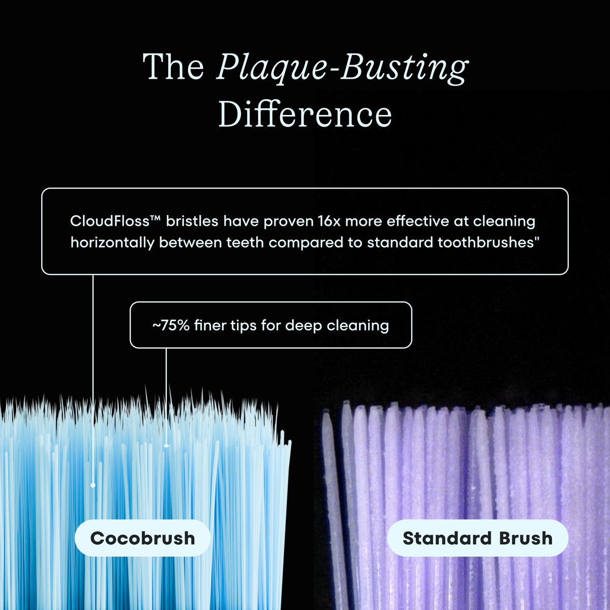 Cocobrush