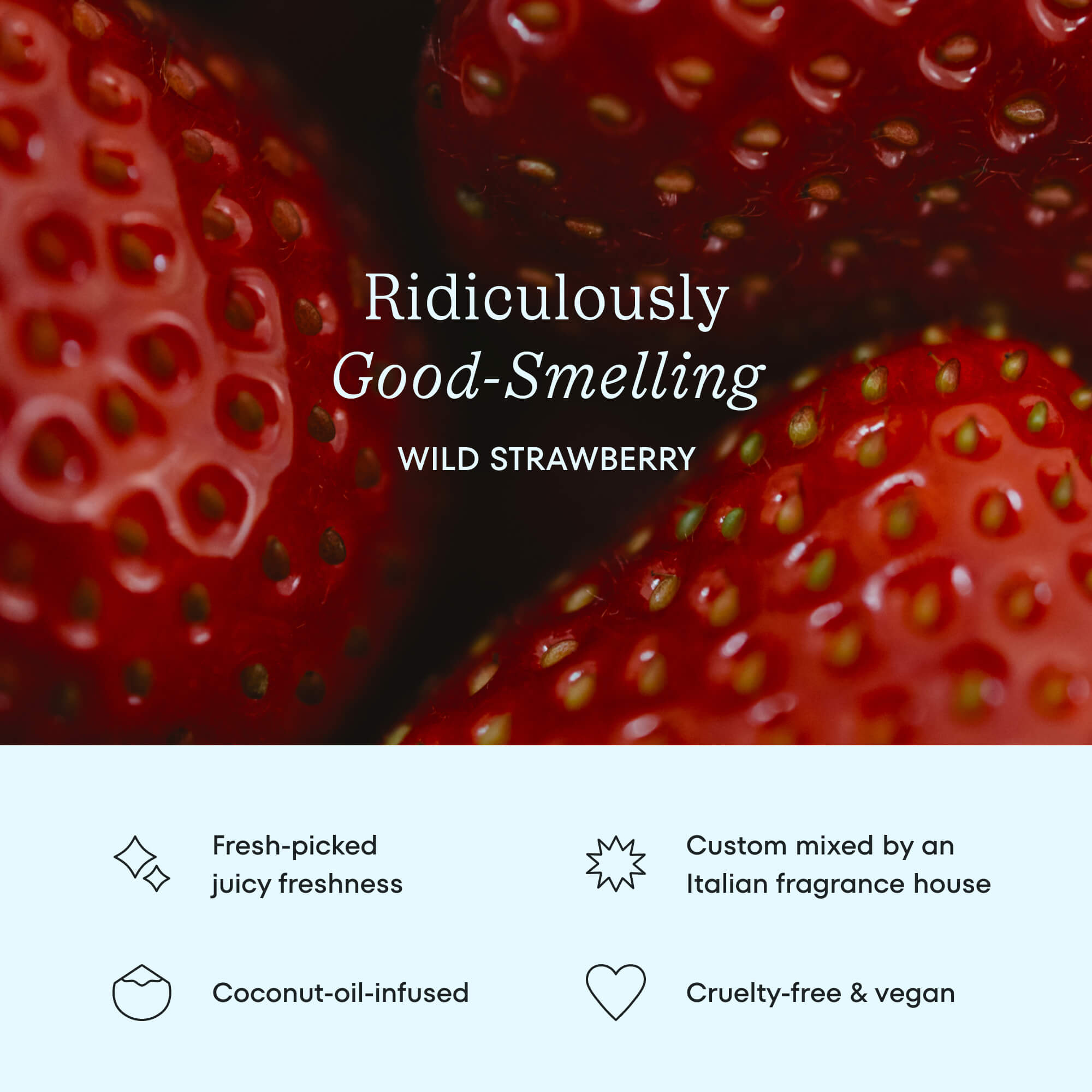 Cocofloss Refill Trio - Pure Strawberry