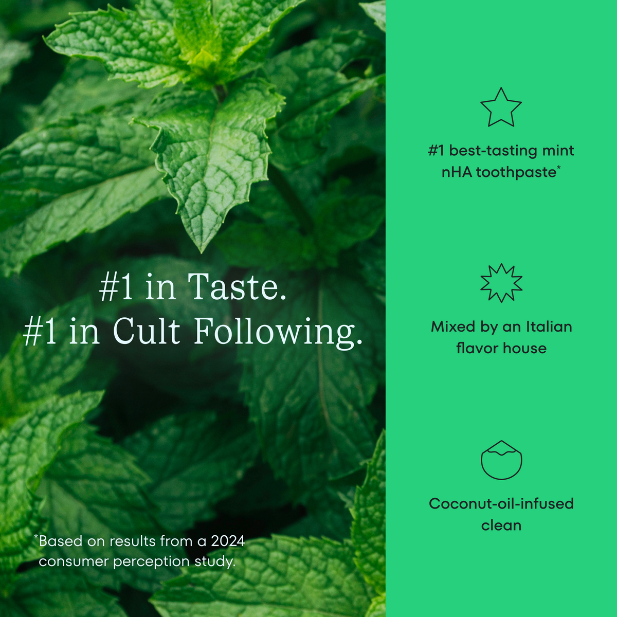 Mint leaves with text about mint nHA toothpaste on a green background