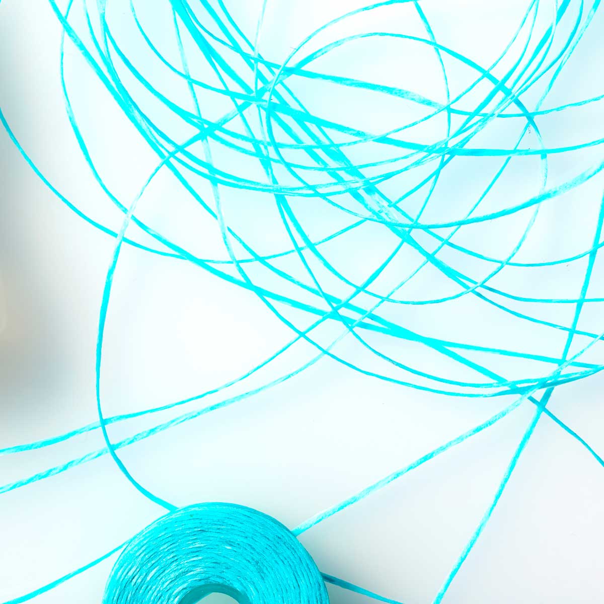 Confetti Cake Dental Floss